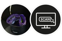 Polyæter møder CAD/CAM workflow.
