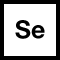 Se Icon