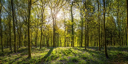 3M Nordic Sustainability Report
