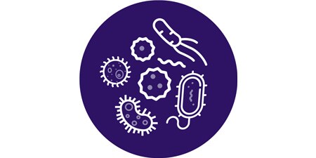Promote patient healing with antimicrobial activity
